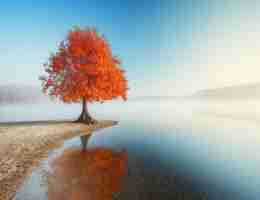 免​费​Vue3工﻿具‌