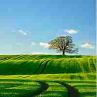 制​作​服‌务﻿器‌系﻿统‍启﻿动​u盘​